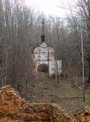 вид с колокольни Троицкого собора на Новгородские ворота