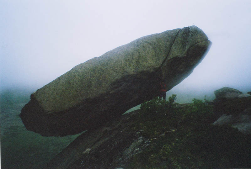 img005.jpg