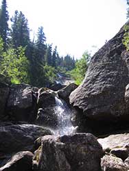 109