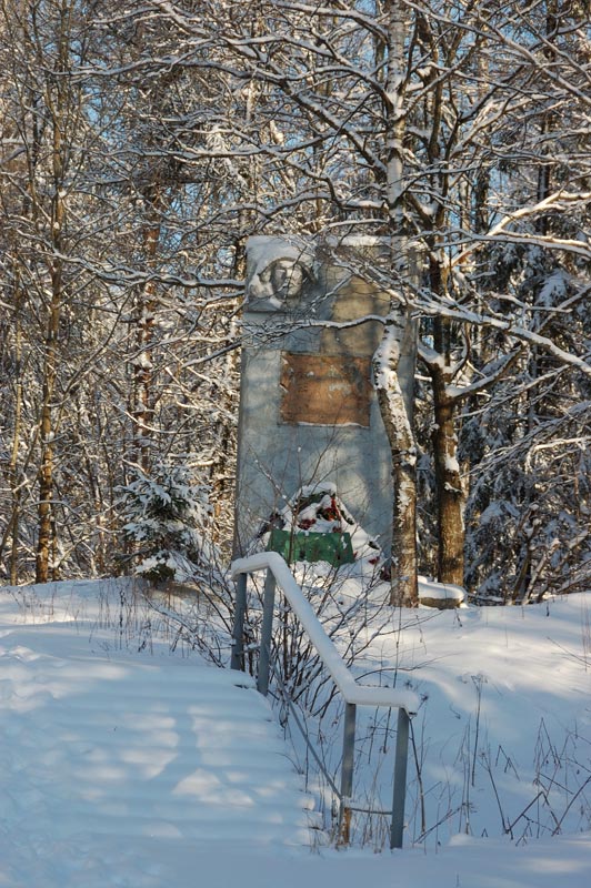 DSC_2511.jpg