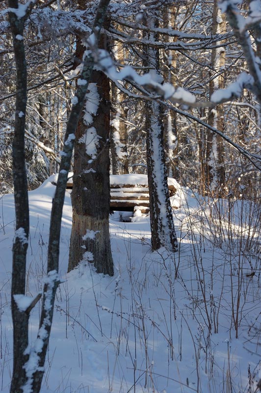 DSC_2517.jpg