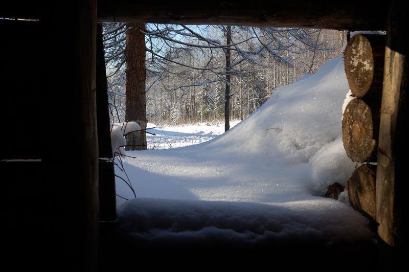 DSC_2528.jpg
