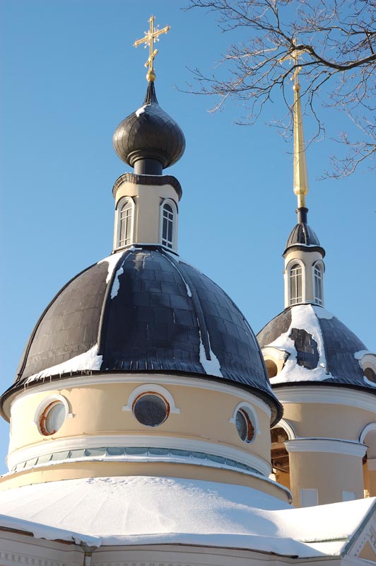DSC_2543.jpg