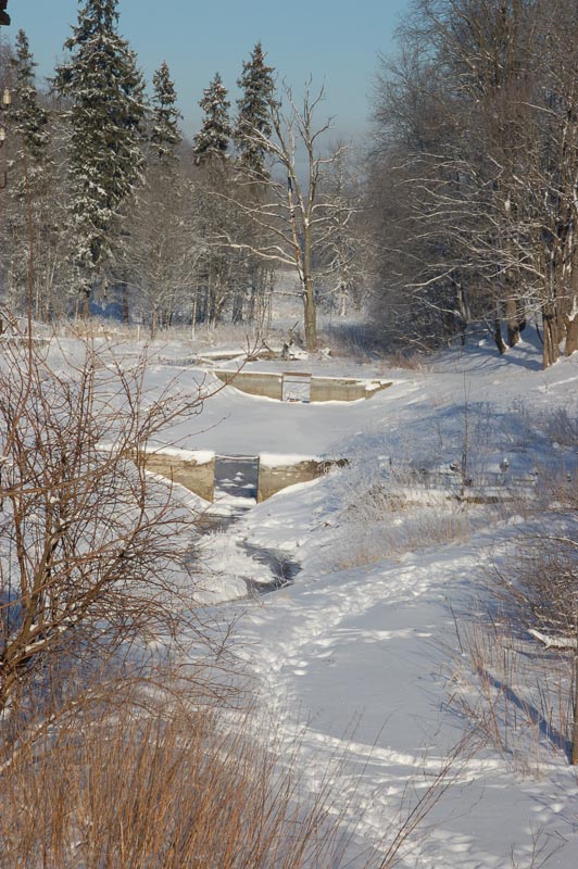 DSC_2562.jpg