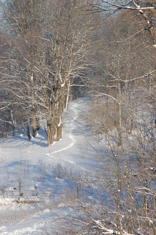 DSC_2563.jpg