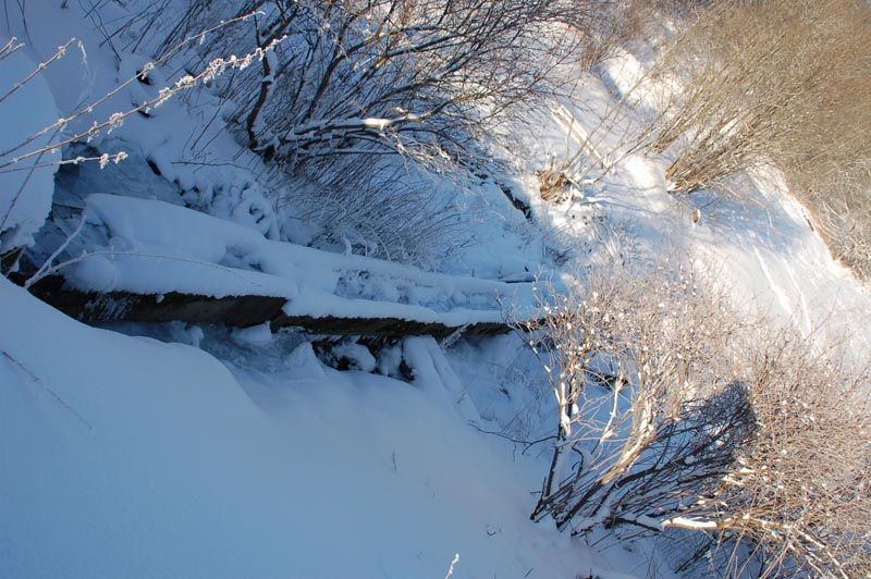 DSC_2567.jpg