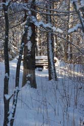 DSC_2517.jpg