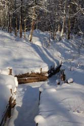 DSC_2521.jpg