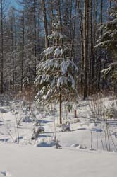 DSC_2540.jpg