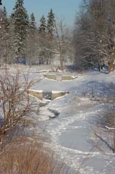 DSC_2562.jpg