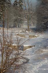 DSC_2564.jpg