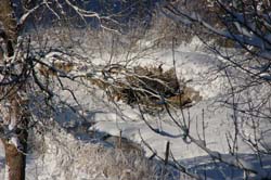 DSC_2575.jpg