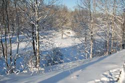 DSC_2576.jpg