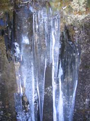 photo10.jpg