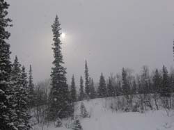 photo11.jpg