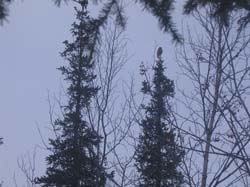 photo73.jpg