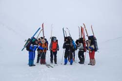f010.jpg