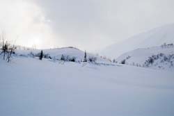 f013.jpg