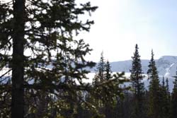 f014.jpg