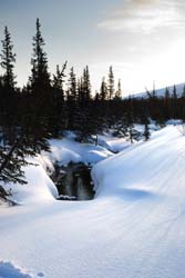 f016.jpg