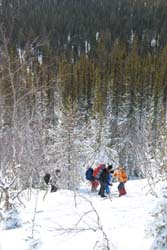 f023.jpg