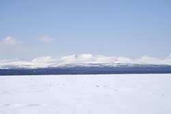 f032.jpg