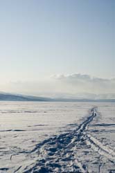 f033.jpg