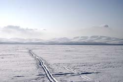 f036.jpg