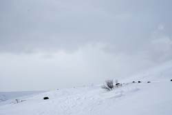 f040.jpg