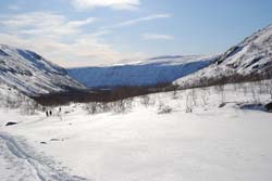 f047.jpg