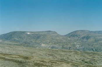 hib055.jpg