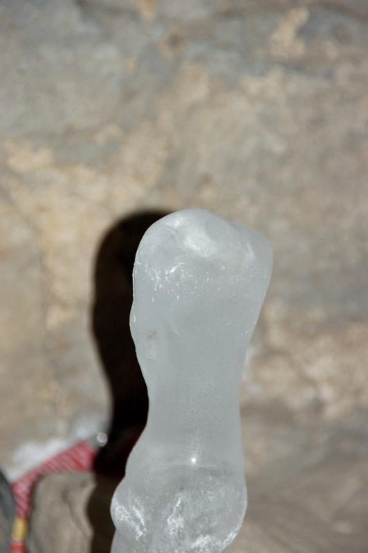 DSC_2635a.jpg