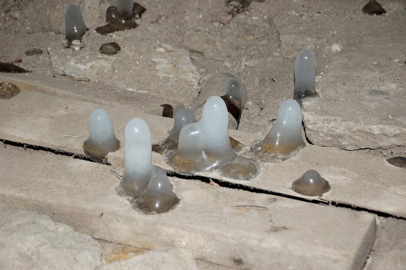 DSC_2644.jpg