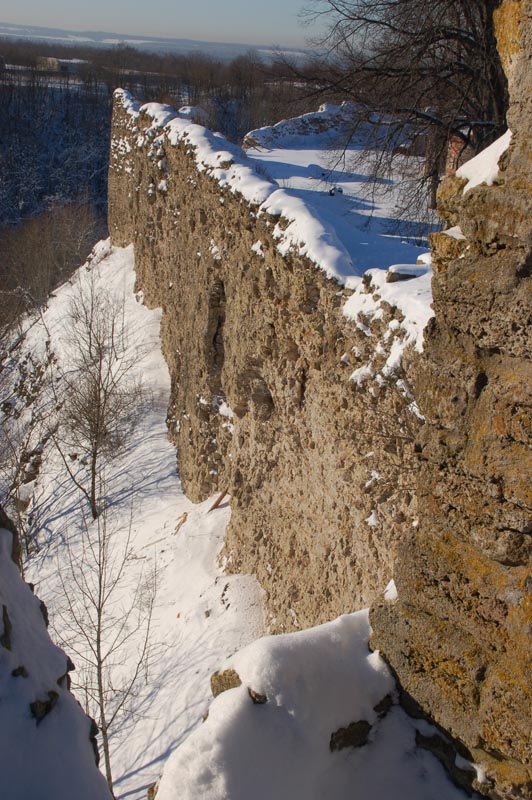 DSC_2677.jpg