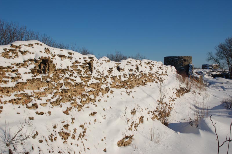 DSC_2713.jpg