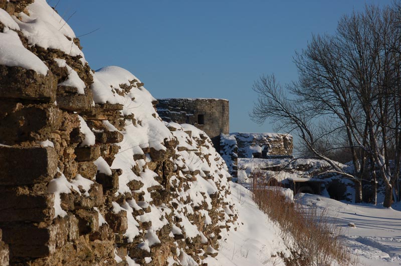 DSC_2717.jpg