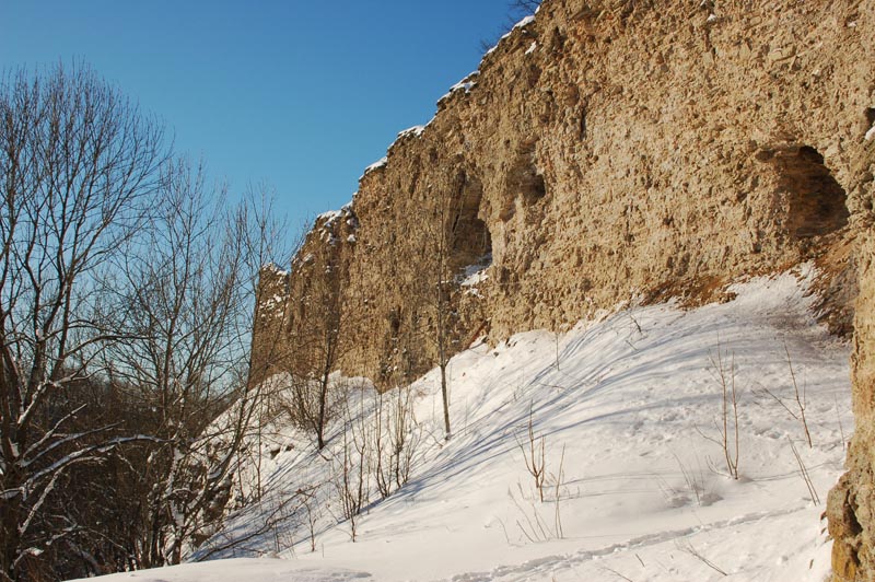DSC_2730.jpg