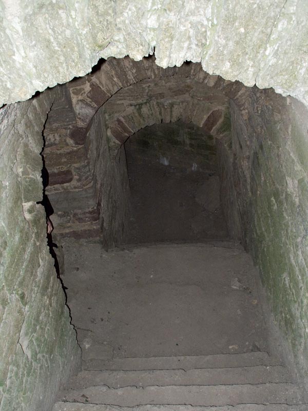 P2108830.jpg