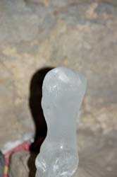 DSC_2635a.jpg