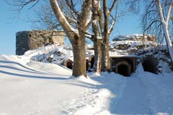 DSC_2687.jpg