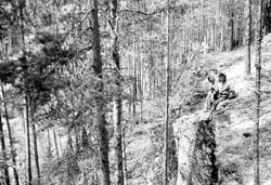 semiostr92_bw012_
