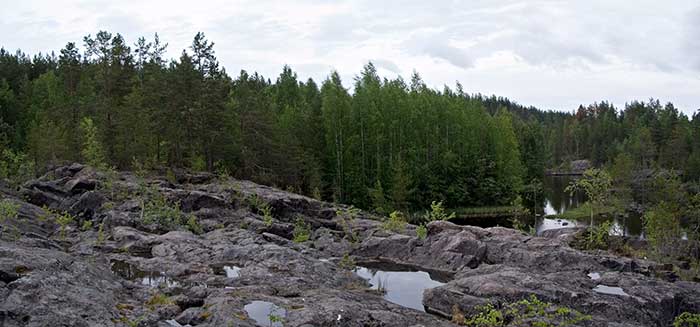 226_P6127662_P6127664