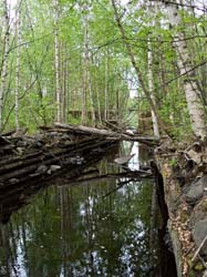 P6127668