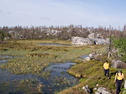 P6135775