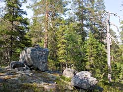 P6137733