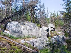 P6137746