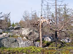 P6137756