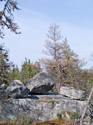 P6137758