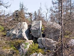 P6137790