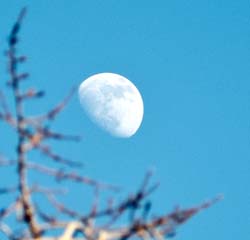 -11 + Pentax k100d